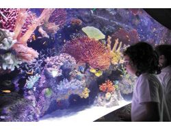 Uşak'ta Dev Akvaryum Yapılacak