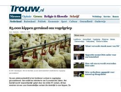 HOLLANDA'DA KUŞ GRİBİ VAKASI