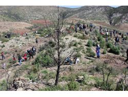 Sinerji Derneği Bir Günde 700 Ağaç Dikti