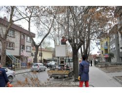 Ankara'da Bahar Dönemi Başladı