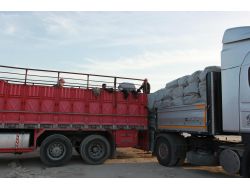 İhh, Suriye'nin Tel Abyad Şehrine Çadırkent Kuruyor