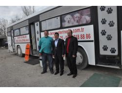 Sokak Hayvanlarını Koruma Kampanyası 4. Yılında