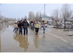 Muş’ta Dereler Taştı Evler Sular Altında Kaldı