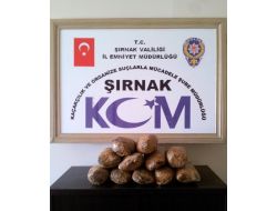Şırnak’ta Kaçakçılık Operasyonu