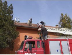 Rüzgarın Yıktığı Leylek Yuvası Yeniden Yapıldı