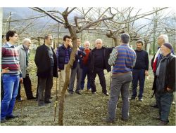 Sapanca'da Kivi Üreticilerine Eğitim