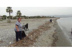 Edremit'teki Lodos Fırtınası Dar Gelirliye Yaradı