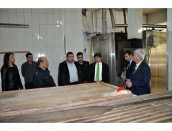 Kozan'da 'Beyaz Bayrak' Denetimi