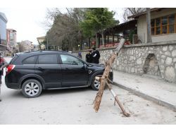 Fırtına Ağaçları Devirdi, Makü'de Eğitime Ara Verildi