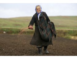 Rusya Bu Yıl 90-92 Milyon Ton Tahıl Hasadı Bekliyor