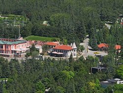 Çankaya Köşkü'ne hırsız girdi