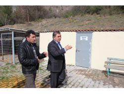 Başkan Özdemir: Hayvanseverler Barınaktan Hayvan Alabilir