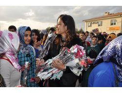 Bdp’li Ayla Akat: Kadına Yönelik Şiddet Artarak Devam Ediyor