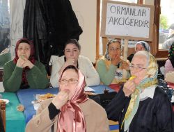 Yalova’da Taş Ocağı (Çed) Toplantısı Engellendi