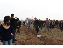 Ceviz Ve Badem Ağaçlarının Geliri Öğrencilere Burs Olarak Dağıtılacak