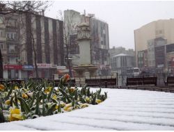 ÇORLU’DA KAR YAĞIŞI