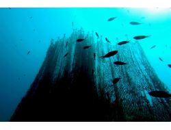 'Hayalet Ağ Avcıları' İşbaşında