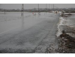 Patnos'ta Sel: Evler Sular Altında Kaldı