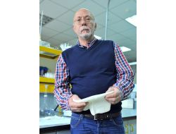 Denizdeki Petrolü, Tübitak Destekli Sünger Temizleyecek