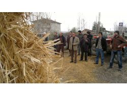 Besiciye, Saman Desteği