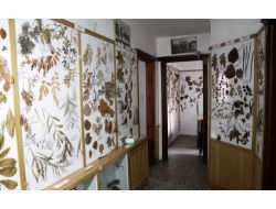 Adanın Eşsiz Koleksiyonuna Rağbet Yok