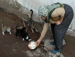 Dilşah Nine Hayvan Severliği İle Herkese Örnek Oluyor