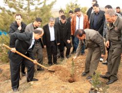 Elazığ'da Şehitler Anısına 300 Fidan Dikildi