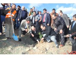 Eski Belediye Başkanı Yanılmaz Anısına Hatıra Ormanı Oluşturuldu