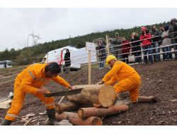 Artvin’de Ormancının Survivor’ı