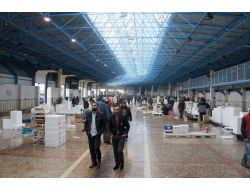 KUMKAPI'DA 5 TON BALIĞA EL KONDU!