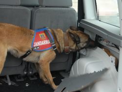 JANDARMA ŞİFREYİ ÇÖZDÜ!..