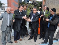 Kazan’da 12 Bin 500 Fidan Toprakla Buluştu