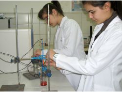 Liseli Gençler, Fesleğenin Demirin Paslanmasını Engellediğini İspat Etti