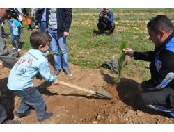 Anaokulu Öğrencileri Fidan Dikti