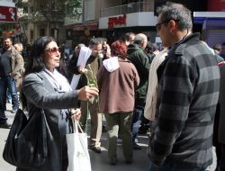 Çözüm Sürecine Destek İçin 163 Stk 'Amasız Barış' Adı Altında Birleşti