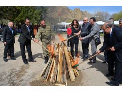 Nevruz Şereflikoçhisar'da Coşkuyla Kutlandı
