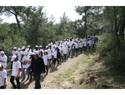 Ormancılık Haftası Kutlanıyor!