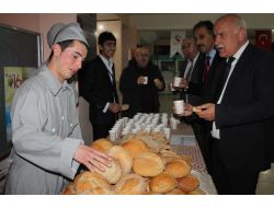 Koca Çınar Çanakkale'ye Yoğun İlgi