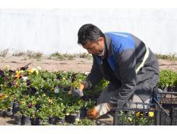 Başkan Yıldız: 2013'te Yeşil Alan Miktarını Arttıracağız