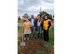 Türkiye Son 5 Yılda Ağaçladırma Çalışmalarıyla Dünya Üçüncüsü Oldu