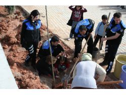 Aksaray’da Polis Ve Öğrenciler Güle Oynaya Ağaç Dikti
