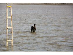 Evler, Karın Erimesi İle Taşan Suların Ortasında Kaldı
