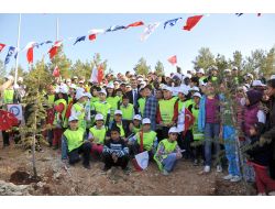 Şahmek Kursiyerleri, Fidan Dikti