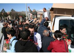 5 Bin Çam Fidanı 15 Dakikada Dağıtıldı