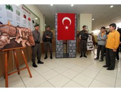 Muğla Piri Reis İlköğretim Öğrencileri Çanakkale Sergisi Açtı