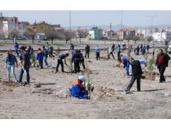 Nevruz Bayramı'nda 3 Bin Fidan Toprakla Buluştu