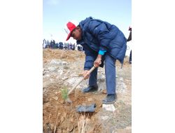 Konya 9 Yılda 13 Milyon Fidanı Toprakla Buluşturdu