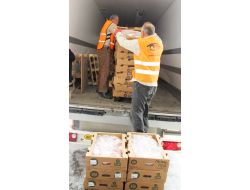 Samsun'dan Suriyeli Sığınmacılara 21 Ton Organik Tavuk
