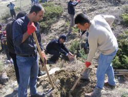 Çağlayancerit Emniyet Müdürlüğü Personeli Fidan Dikti
