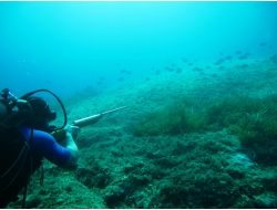 Sualtı Araştırmaları Derneği Balıkları Koruma Projesi Başlattı